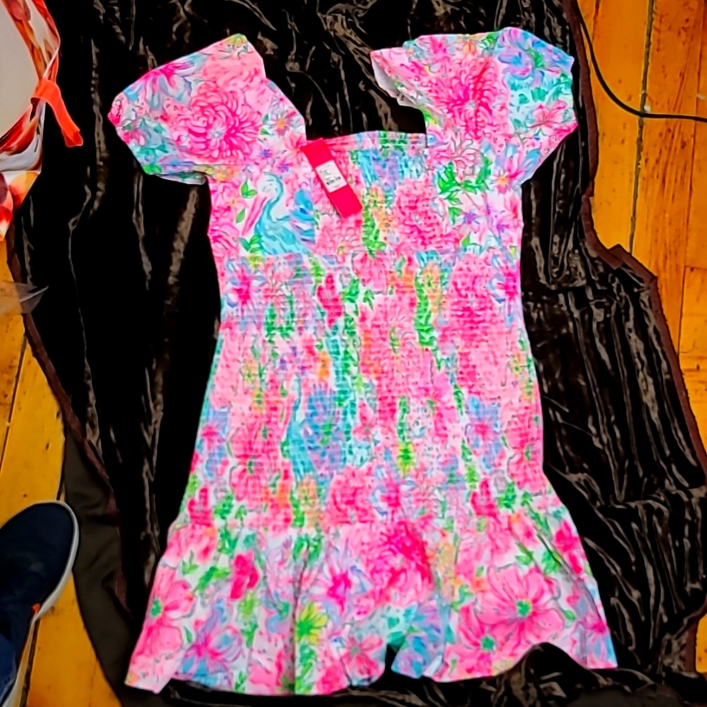 Lilly Pulitzer Evelina Dress.  Paradise Found Print